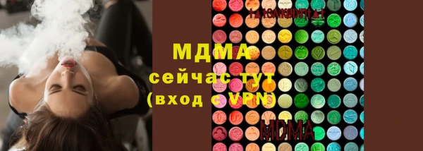 2c-b Бородино
