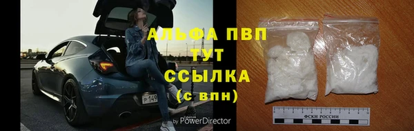 2c-b Бородино