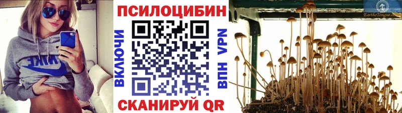 Псилоцибиновые грибы Psilocybine cubensis omg маркетплейс Палласовка